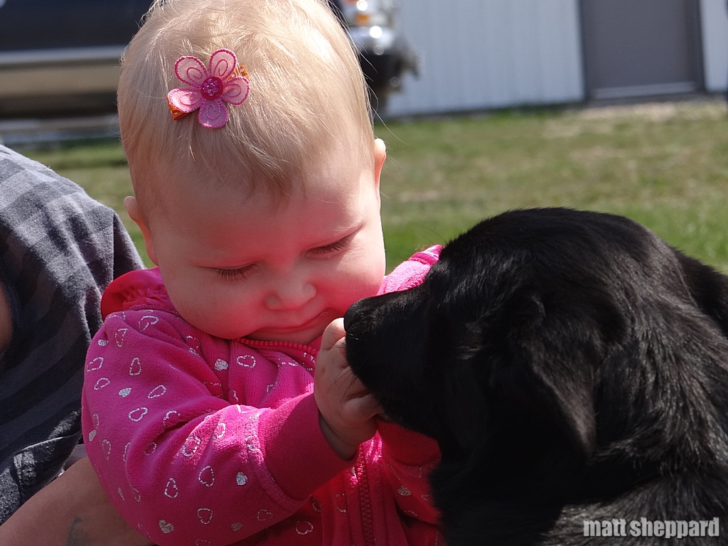 James River Humane Society Open House May 17, 2014